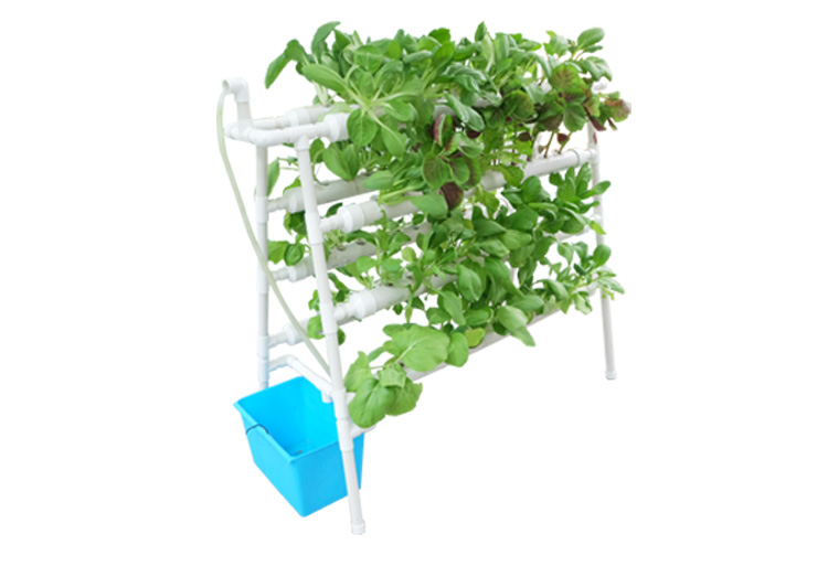 hydroponic system