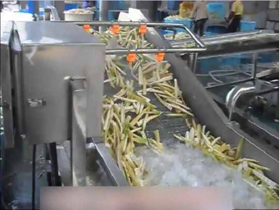 Temperature Standard Automatic Belt Dryer for Garlic Slices