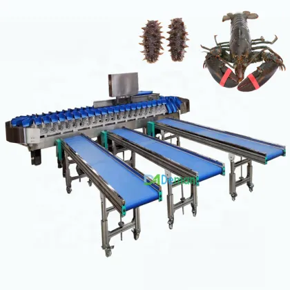 Rotary Lobster Weight Classifier and Sea Cucumber Abalone Sorting Scale for Sale
