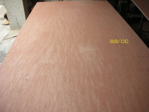 18mm BBCC grade poplar bintango commercial plywood