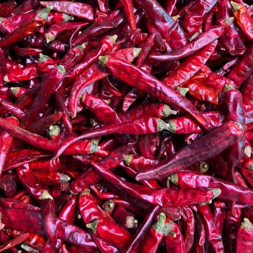 Stone Column Red Pepper Paprika high quality Shizhu chili 100% natural dried chilies Manufactory