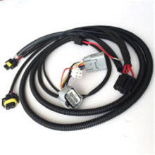 Customized Electric wiring harness