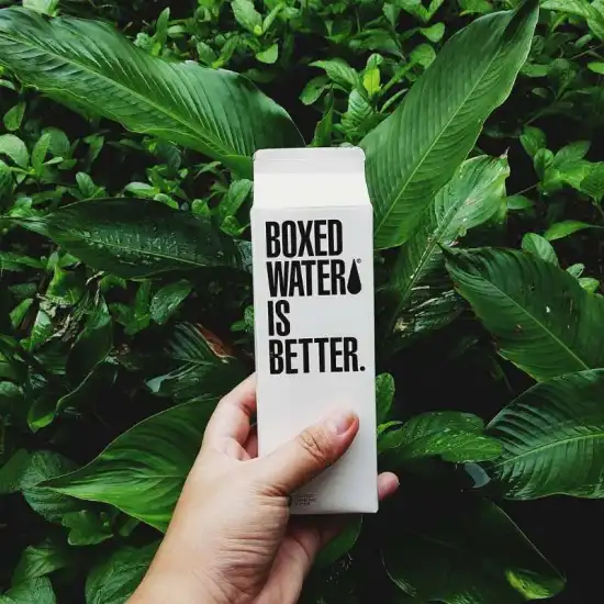 Mineral Water Carton Filling Sealing Machine