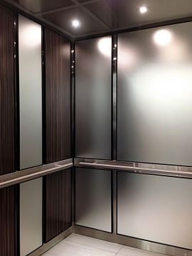 Preis für Home -Aufzüge aus Edelstahl