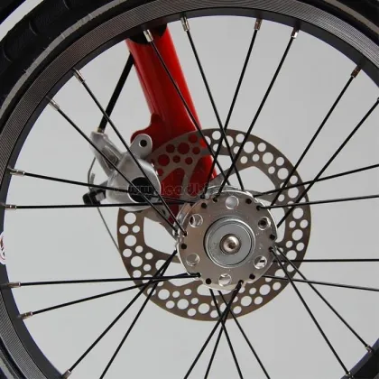 Jaunty Folding Bike for Kids and Adults