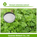 Artemisinine 99% Jaarlijks Artemisia Extract Poeder Anti-malaria