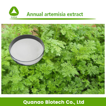 Artemisinin 99% Annual Artemisia Extract Powder Anti-malaria