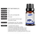 High quality Blue Tansy essential Oil for massage