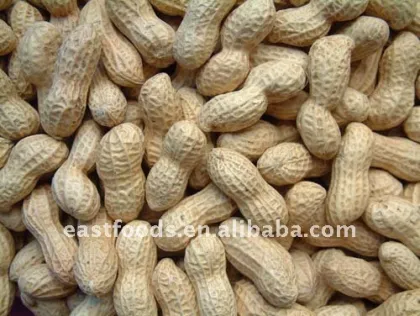 peanuts in shell