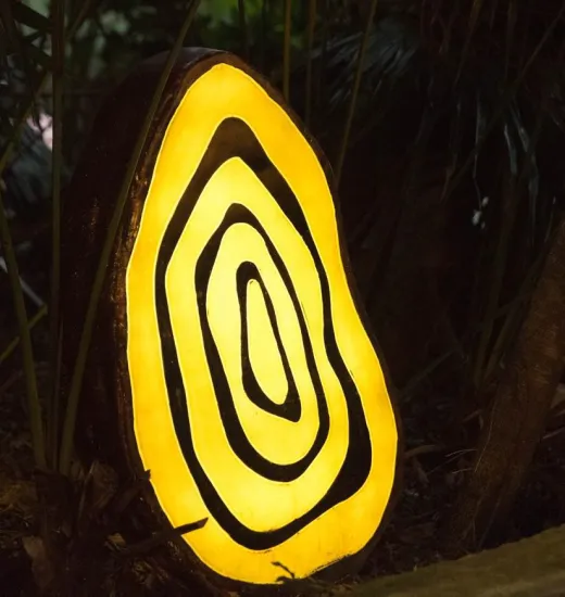 Wood Chip Annual Ring Light A