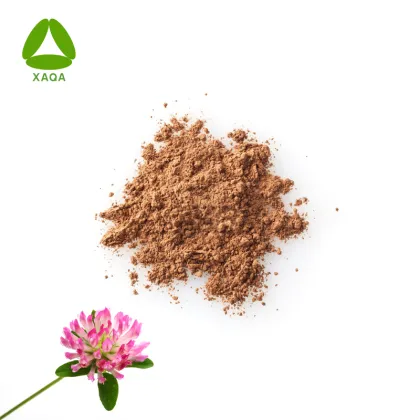 High Quality Red Clover Leaf Extract Powder Isoflavones