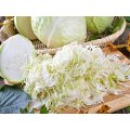 Cabbage Slicer Chopper Shredder Cutter Slaw Grater