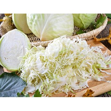 Cabbage Slicer Chopper Shredder Cutter Slaw Grater