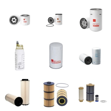 China Fuel Coarse Filter 1001044160