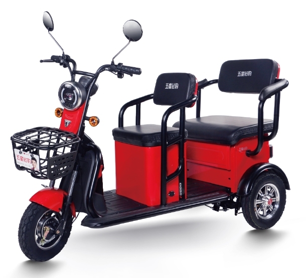 M4 (Leisure Electric Tricycle)