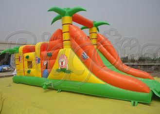 EN-14960, Commercial Inflatable Bouncer With Slide PVC Colo