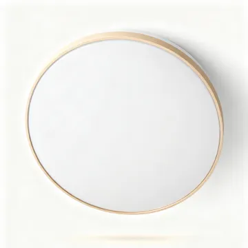 Round Flat LED Ceiling Light
