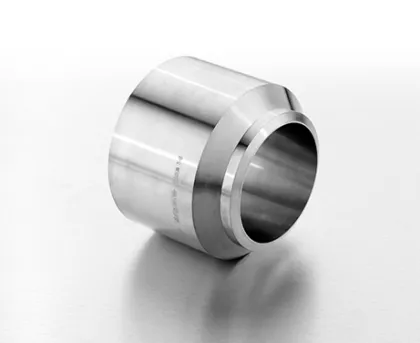 Forged Pressure Vessel Nozzle for Petrochemical Equipment