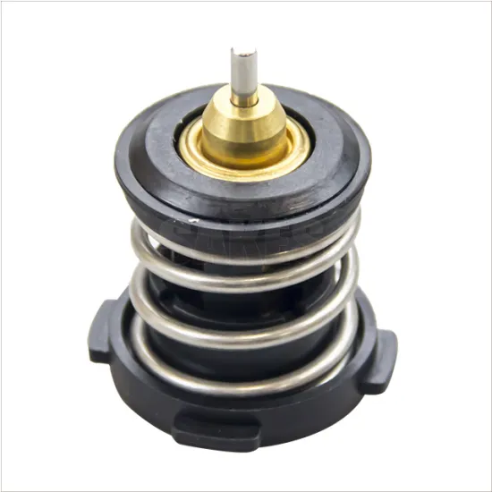 Hot Sale Factory Wholesaling High-Quality Auto Cooling System Parts for Audi