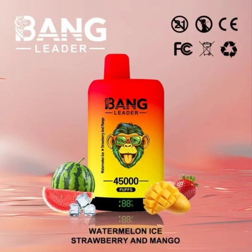 Bang Leader 45k 2in1 vape ดั้งเดิม