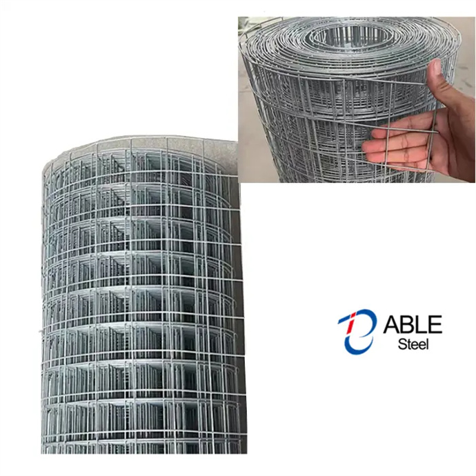 High Quality Electro/Cold Galvanized Welded Wire Mesh