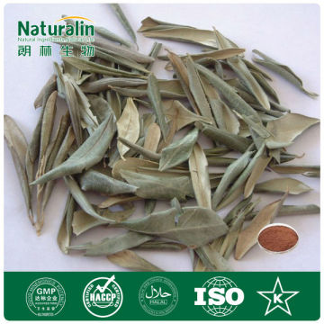 Natural Yohimbe Bark Extract