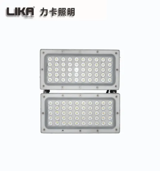100W High Brightness Outdoor Projection Led Floodlight