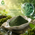 مسحوق الجراثيم الفطرية Trichoderma Viride للزراعة