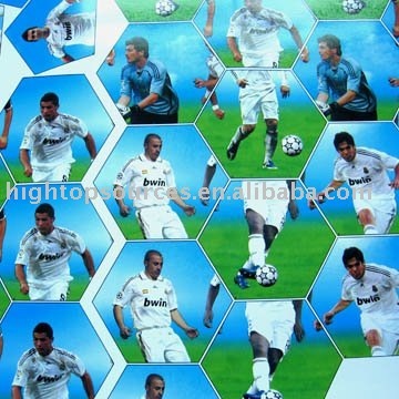32 panels photograph ball leather