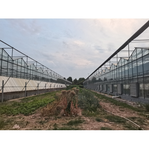 Agricultural Ecological Park Greenhouse