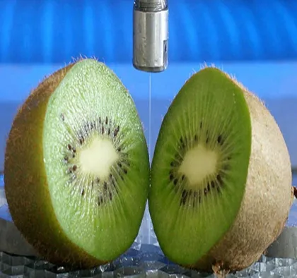 Food Safety Waterjet Cutting Machine Specialists