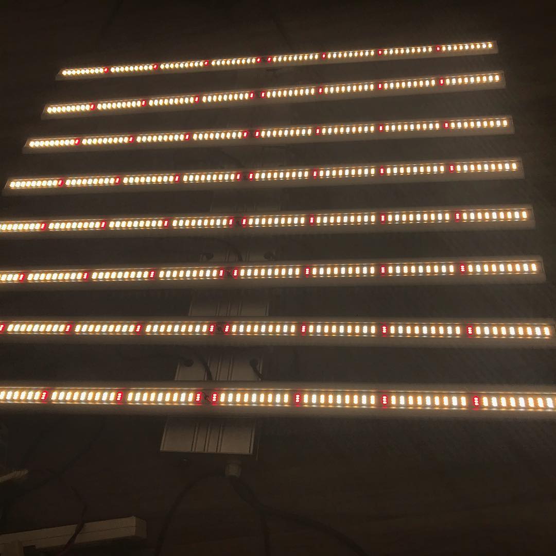 LED Grow Light