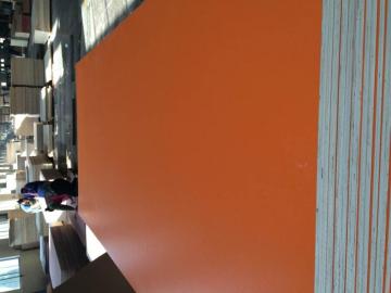 4*8ft 18cm Colorful HPL Coated Block board