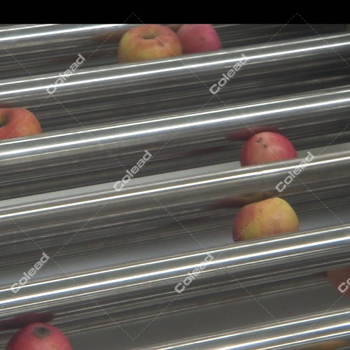 Cherry Tomato Apple Pear Orange sorting machine