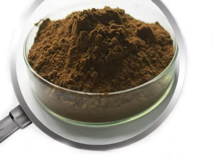 Polyphenols Yerba Mate Extract powder Yerba Mate Tea