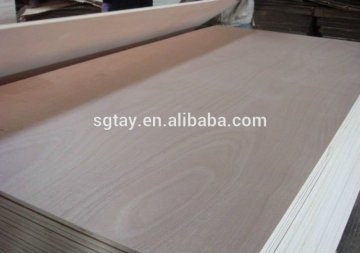 HIGH QUALITY PLYWOOD/ LINYI PLYWOOD in LINYI