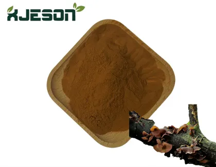 Natural Chaga Mushroom Extract