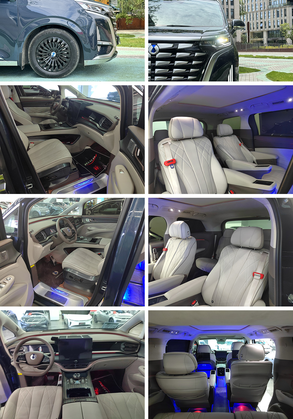 Used electric car Denza D9