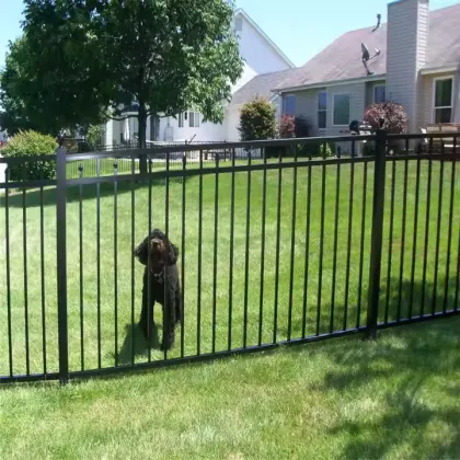 Wrought Iron Fence Panels