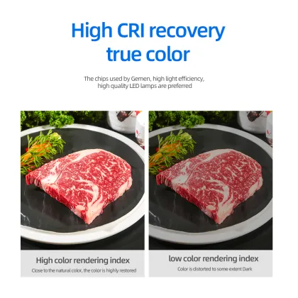 DVLIIL G300 23W LED Light Bulb Equivalent to 200W, 40W, 60W Sylvania PLC Fixture, 120V, Rechargeable Remote Control