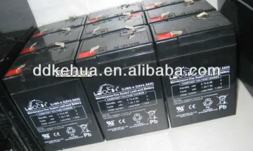 leoch battery