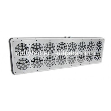 Powerful high quality Cidly Light Led A16 Indoor grow lamps hydroponics growing system box lighting