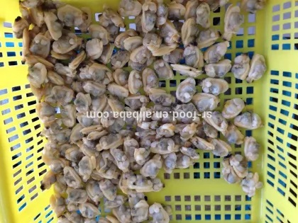 frozen seafood boiled clam meat