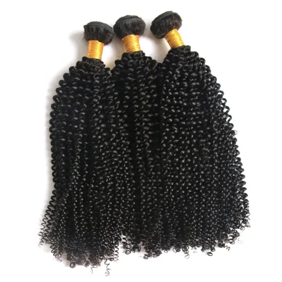 Kinky Curly Grade 9A 10A 12A unprocessed Brazilian virgin straight human hair, no tangle no shed cuticle aligned hair bundles