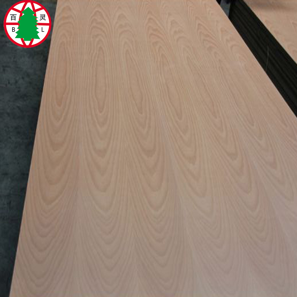 Beech Plywood 15