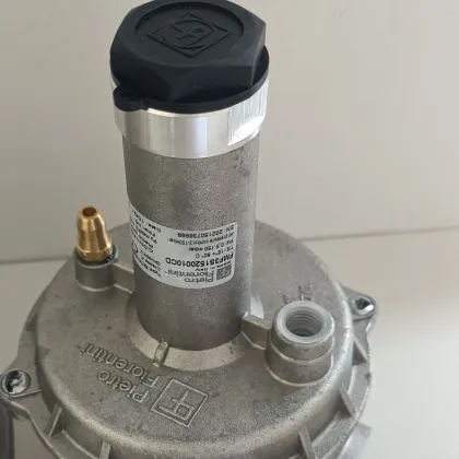 Pietro Fiorentini 3S150 DN Proportional Valve Amplifier