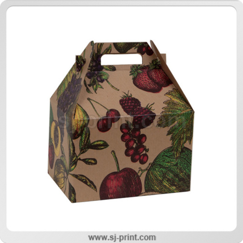 Industrial Packaging Box / Hard Cardboard Color Box (SJ075)