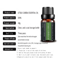 Natural Litsea Cubeba Essential Oil Organic for SkinCare