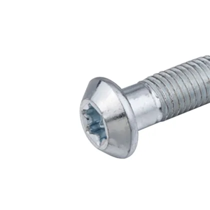 DIN Standard S12*30 Self-Tapping Screw with Trox Socket
