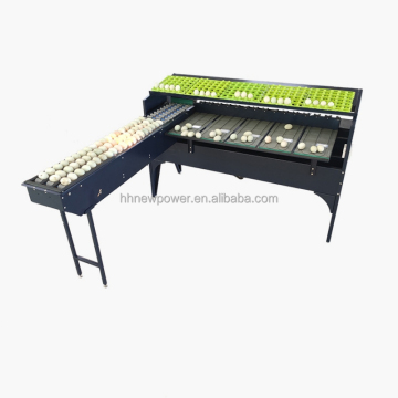 Commercial Egg Sorter: Multifunctional Grading Machine by Size and Weight